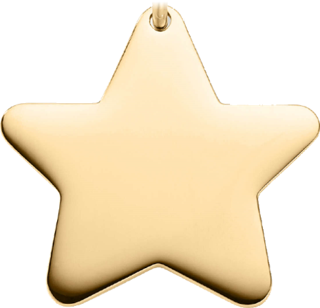 Star Pet Tag