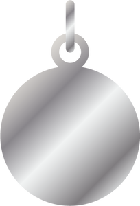 Large Silver Charm